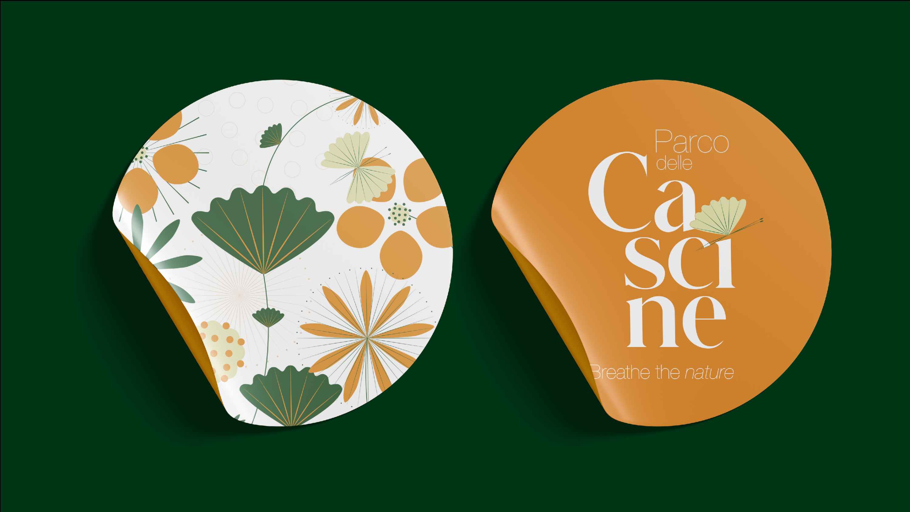 Cascine project background