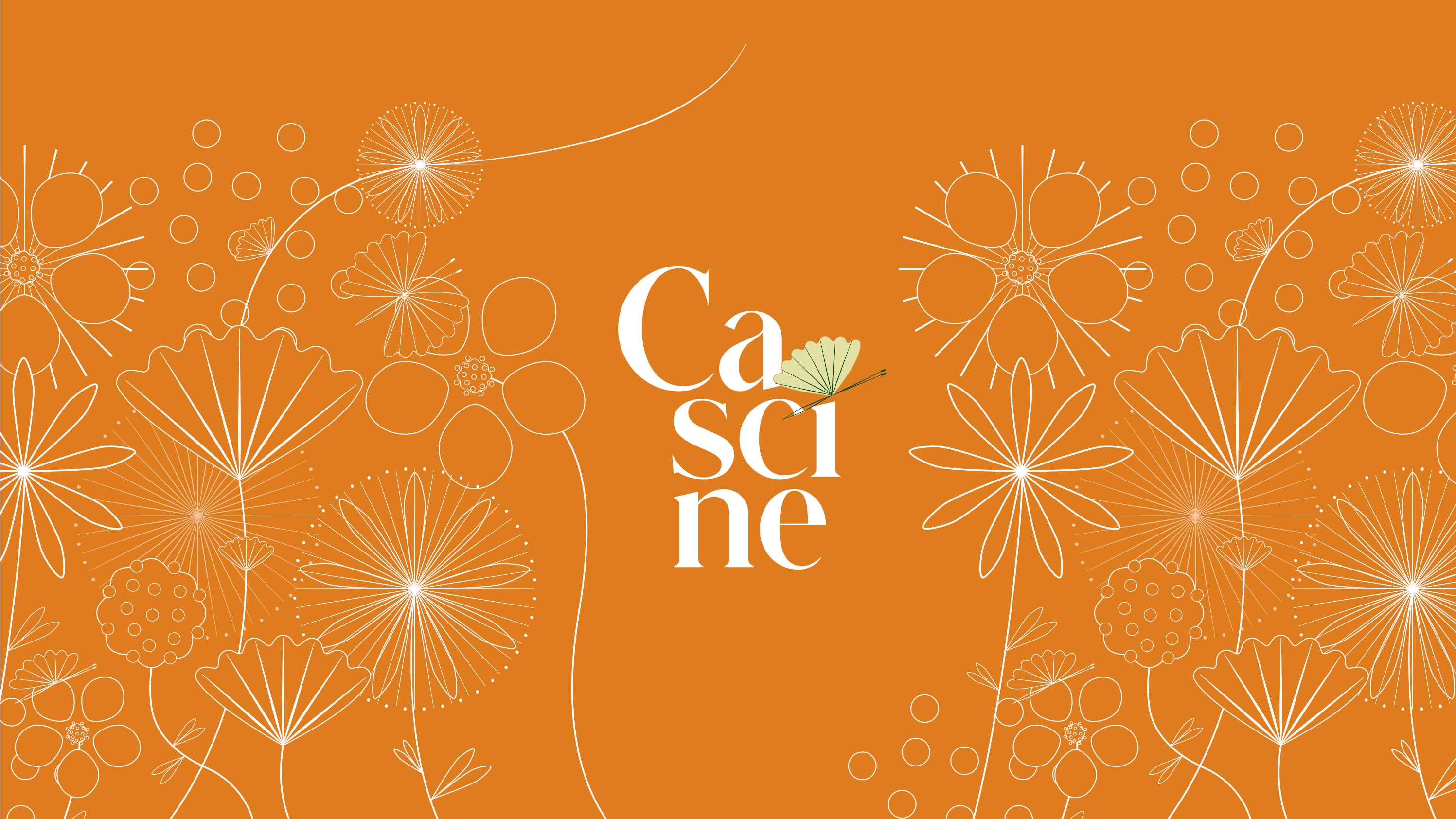cascinecolor