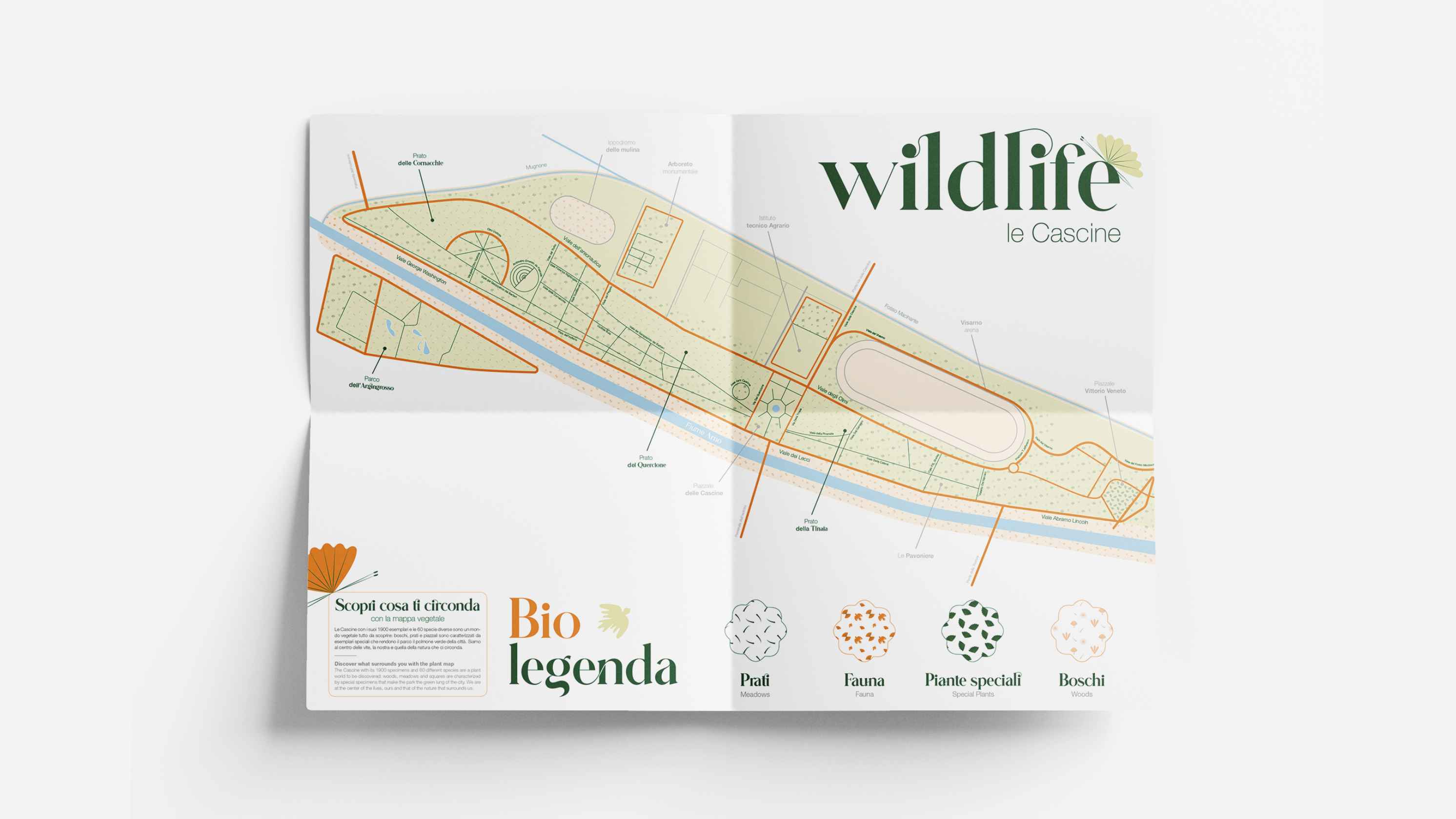 Cascine map design